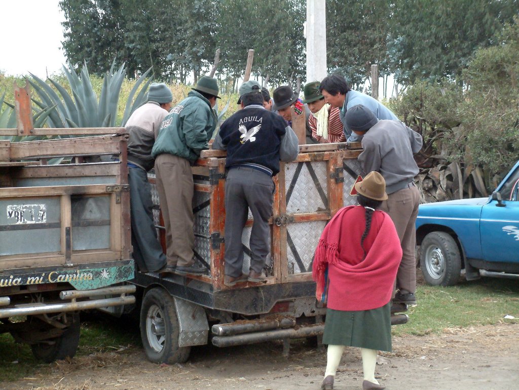 02-A truck with sheep.jpg - A truck with sheep